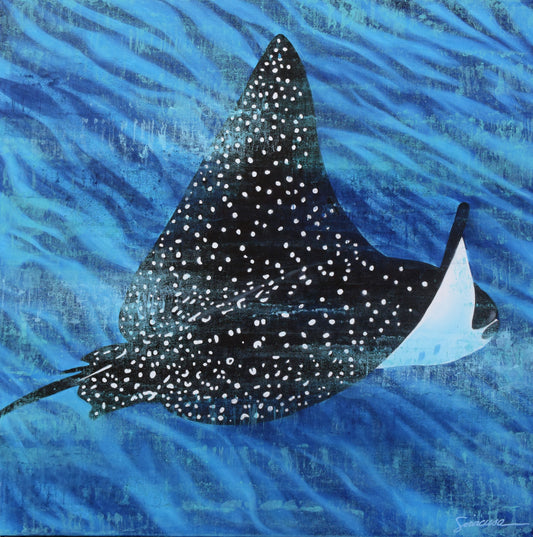 Vitamin SEA, Spotted Eagle Ray, Number 3, Original