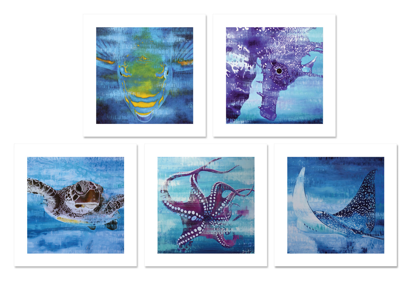 Vitamin SEA Greeting Cards, Group 1