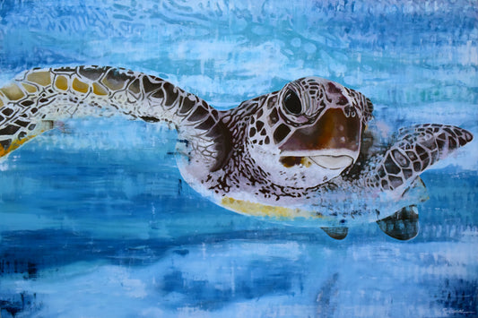Vitamin SEA, Hawksbill Sea Turtle, Number 1, Original