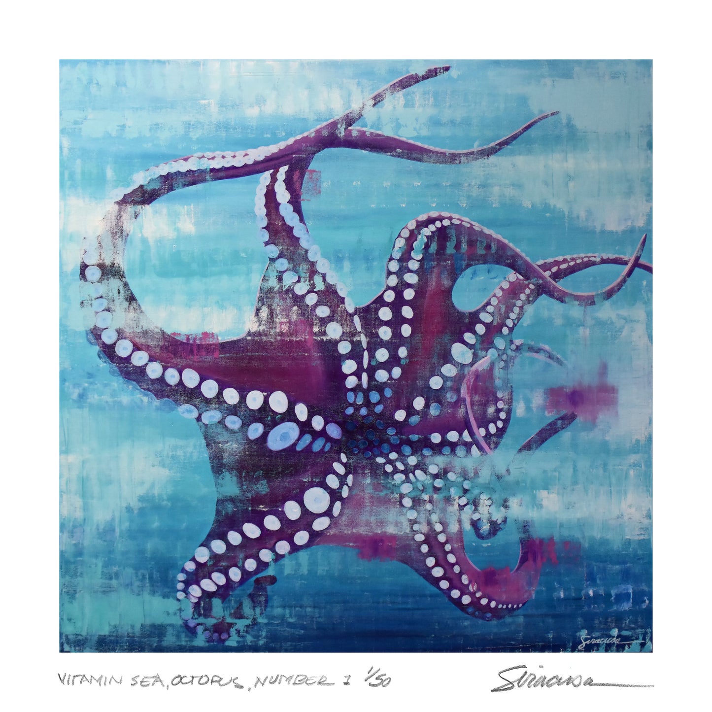 Vitamin SEA, Octopus, Number 1, Limited Edition Print, 12" x 12"